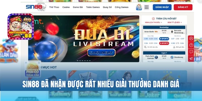 Review Sin88 – Cổng Cược Xanh Chín Hàng Đầu Việt Nam